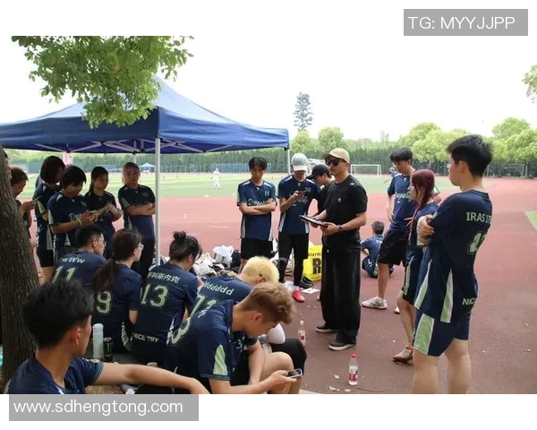 杭州飞盘队实力分析与赛季表现评估的全面探讨 杭州飞盘队实力分析与赛季表现评估的全面探讨